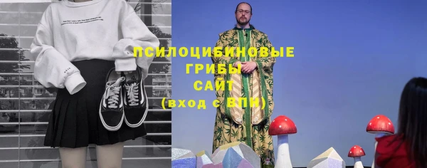 тгк Алзамай