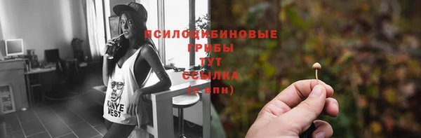 тгк Алзамай